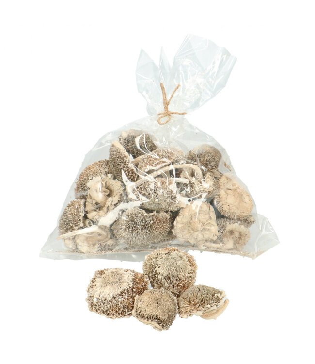 Natürlich getrocknete Sonnenblumenköpfe | 25 Köpfe pro Verpackung | Einzelstück bestellbar