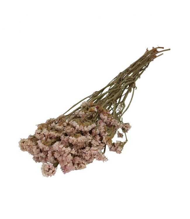 Hellrosa getrocknete Limonium statice Trockenblumen | Länge 70 Zentimeter | Pro Stück bestellbar