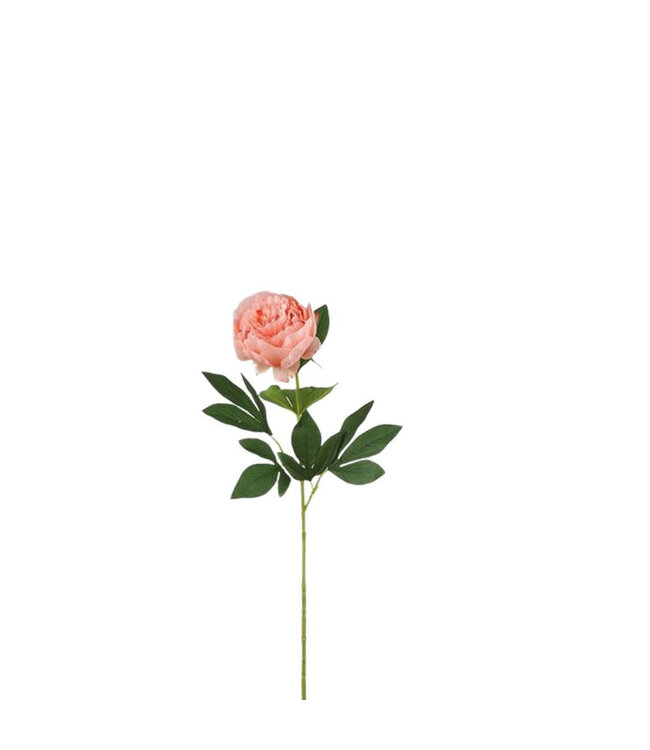 Lachsfarbene Paeonia Kunstblumen | Länge 76 Zentimeter | Pro 12 Stück zu bestellen