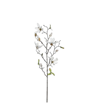 4A Naturelle weiße Magnolien Kunstblumen | Länge 75 Zentimeter | Pro 12 Stück