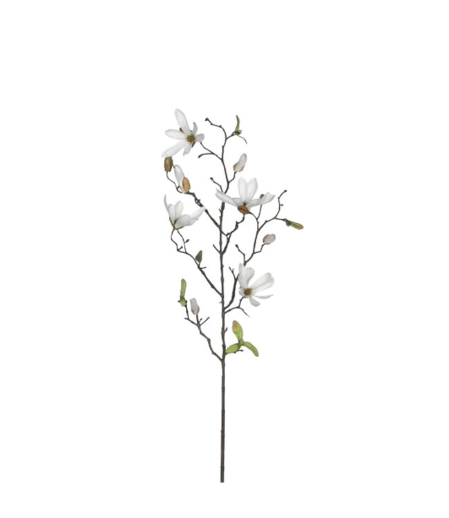 Naturelle weiße Magnolien Kunstblumen | Länge 75 Zentimeter | Pro 12 Stück zu bestellen
