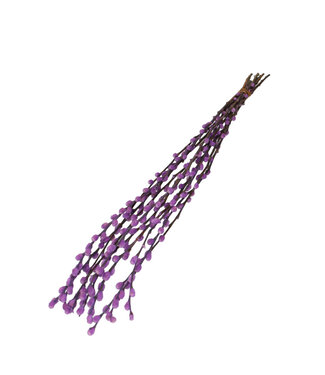 4A Chatons de saule séchés couleur Milka | Fleurs séchées Salix | Longueur 70 centimètres | Par 10 branches