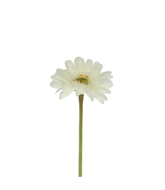 4A Natural white Gerbera artificial flowers | Length 55 centimetres | Per 12 pieces
