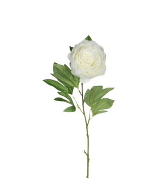 4A Cream-coloured Peony artificial flowers | Length 76 centimetres | Per 12 pieces
