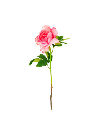 4A Rosa Pfingstrosen Kunstblumen | Länge 57 Zentimeter | Pro 6 Stück