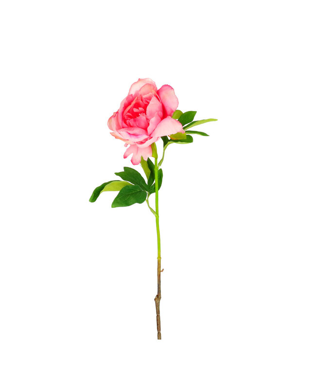 Rosa Pfingstrosen Kunstblumen | Länge 57 Zentimeter | Pro 6 Stück zu bestellen