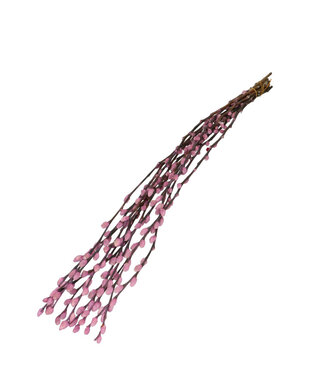 4A Chatons de saule séchés couleur lilas | Fleurs séchées de Salix | Longueur 70 centimètres | Par 10 branches