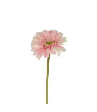 4A Hellrosa Gerbera Kunstblumen | Länge 55 Zentimeter | Pro 12 Stück