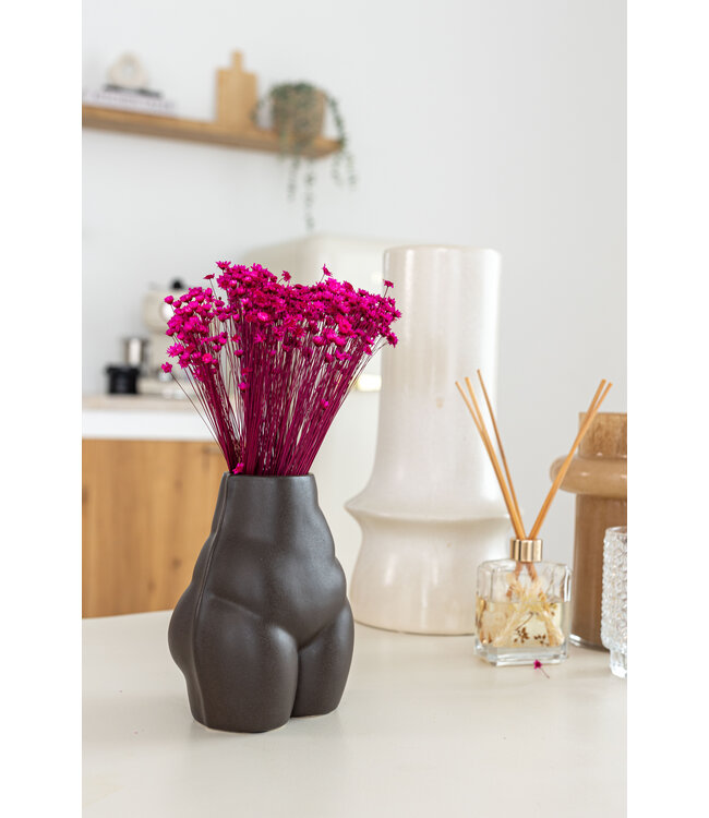 Fleurs de clochettes séchées de couleur cerise | Fleurs étoilées de Glixia cerise | Longueur ± 50 cm | Commande par bouquet