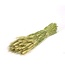 Triticale natural green dried flowers | Length ± 70 cm | Available per bunch