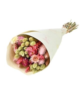 MyFlowers Bouquet de fleurs séchées Coco Loco | Longueur ±50 centimètres | Par pièce