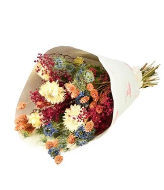 MyFlowers Bouquet de fleurs séchées Scent of Sparkle | Longueur ±50 centimètres | Par pièce