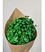 Fleurs de Campanule séchées vertes | Fleurs séchées Glixia Star d'un vert intense | Longueur ± 50 cm | À commander par bouquet