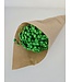 Fleurs de Campanule séchées vertes | Fleurs séchées Glixia Star d'un vert intense | Longueur ± 50 cm | À commander par bouquet