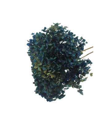 Casa Alegria Blue preserved Hydrangea | Hydrangea with 2-3 stems | Per piece