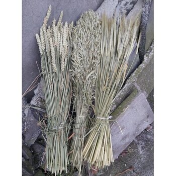 Meer granen en grassen...