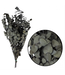 Green Eucalyptus Espiral Preserved | Branches of 50 - 80 centimetres | 150 grams | Available per bunch