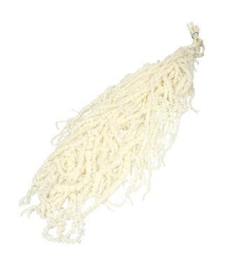 4A Droogbloem Amaranthus hang 60cm x5 ( x 1 )