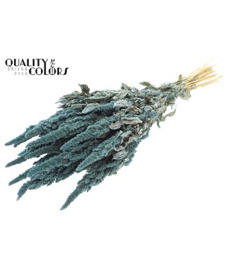 QC Amaranthus per bunch Frosted Light Blue | Per 6 stuks