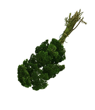 4A Droogbloem Achillea 65cm x12 ( x 1 )
