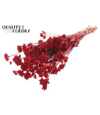 QC Lona per bunch Red | Per 20 stuks