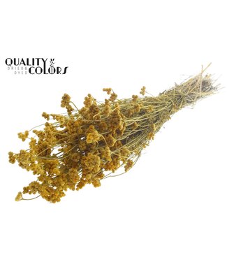 QC Lona per bunch Metallic Yellow ( x 6 )