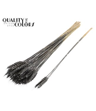 QC Triticum 3pc/Tuft Metallic Graphite ( x 150 )