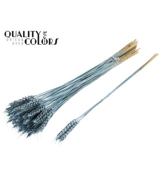 QC Triticum 3pc/Tuft Metallic Blue ( x 150 )