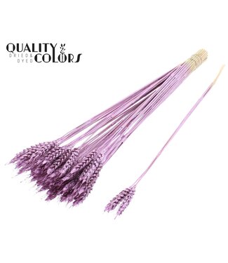 QC Triticum 3pc/Tuft Metallic Pink ( x 150 )