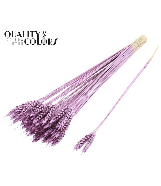 Triticum 3pc/Tuft Metallic Pink ( x 150 )