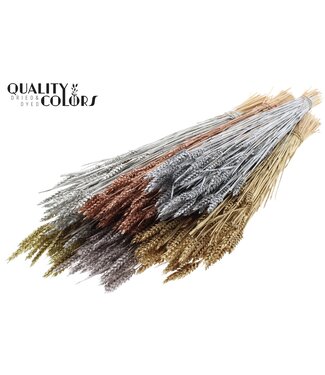 QC Triticum (sunbleached) per bunch Mixed colours Metallic ( x 20 )