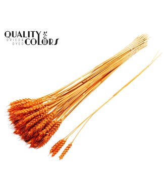 QC Triticum 3pc/Tuft Orange ( x 150 )