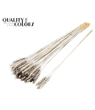 QC Triticum 3pc/Tuft Platina ( x 150 )