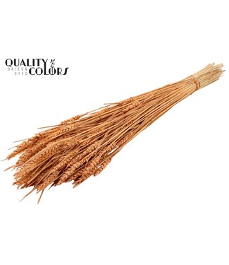 QC Triticum (sunbleached) per bunch Frosted Salmon ( x 20 )