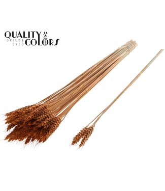 QC Triticum 3pc/Tuft Terracotta ( x 150 )