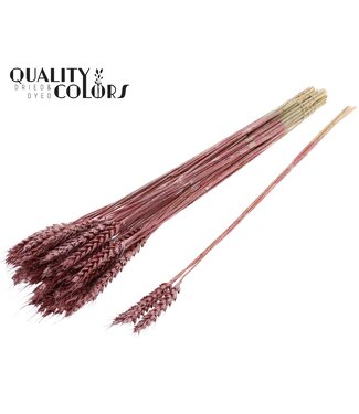 QC Triticum 3pc/Tuft Metallic Red ( x 150 )