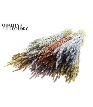 QC Triticum per bunch Mixed colours Metallic + Glitter ( x 20 )