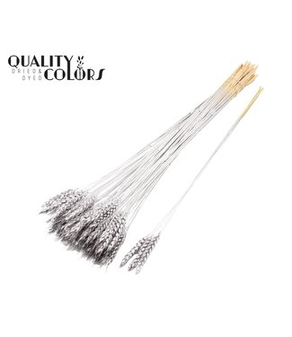 QC Triticum 3pc/Tuft Silver ( x 150 )