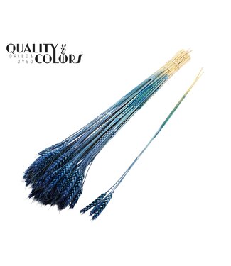 QC Triticum 3pc/Tuft Dark Blue ( x 150 )