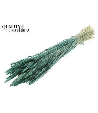QC Triticum per bunch Pearl Turquoise | Per 6 stuks