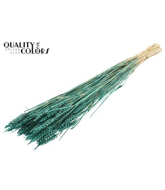 QC Triticum (sunbleached) per bunch Pearl Turquoise ( x 6 )