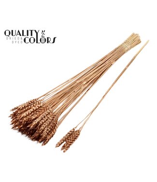 QC Triticum 3pc/Tuft Antique Gold ( x 150 )