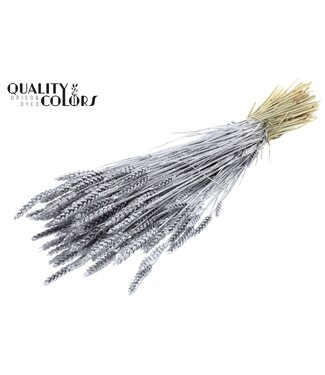 QC Triticum per bunch Silver + Glitter ( x 6 )