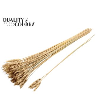QC Triticum 3pc/Tuft Natural ( x 150 )