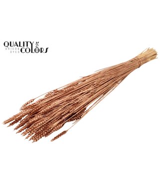 QC Triticum (sunbleached) per bunch Copper | Per 20 stuks