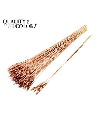 QC Triticum 3pc/Tuft Copper ( x 150 )
