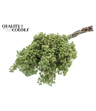 QC Pepperberries per bunch in poly Light Green ( x 5 )
