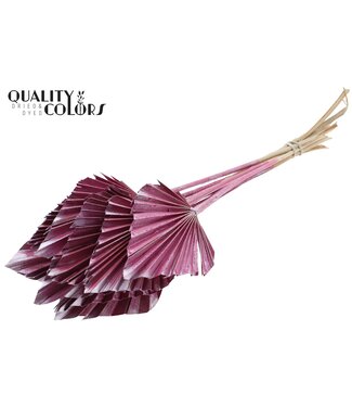 QC Getrocknete Palm Spear | Metallic Rosa Palmblätter in Speerform | Pro 50 Stück