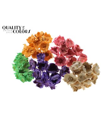 QC Palm cup on stem Intense Mixed Colours Frosted ( x 50 )