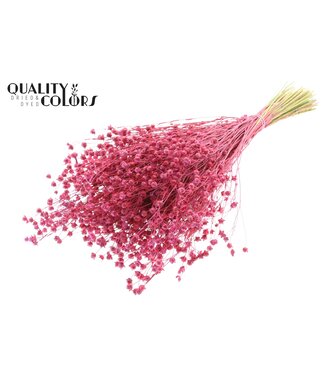 QC Lino Vlas p/bunch in poly Cerise | Per 6 stuks